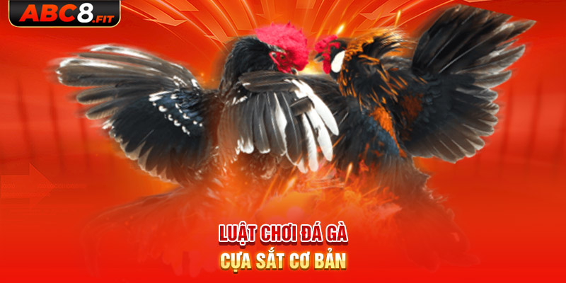 Luật chơi đá gà cựa sắt cơ bản